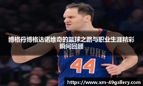博格丹博格达诺维奇的篮球之路与职业生涯精彩瞬间回顾